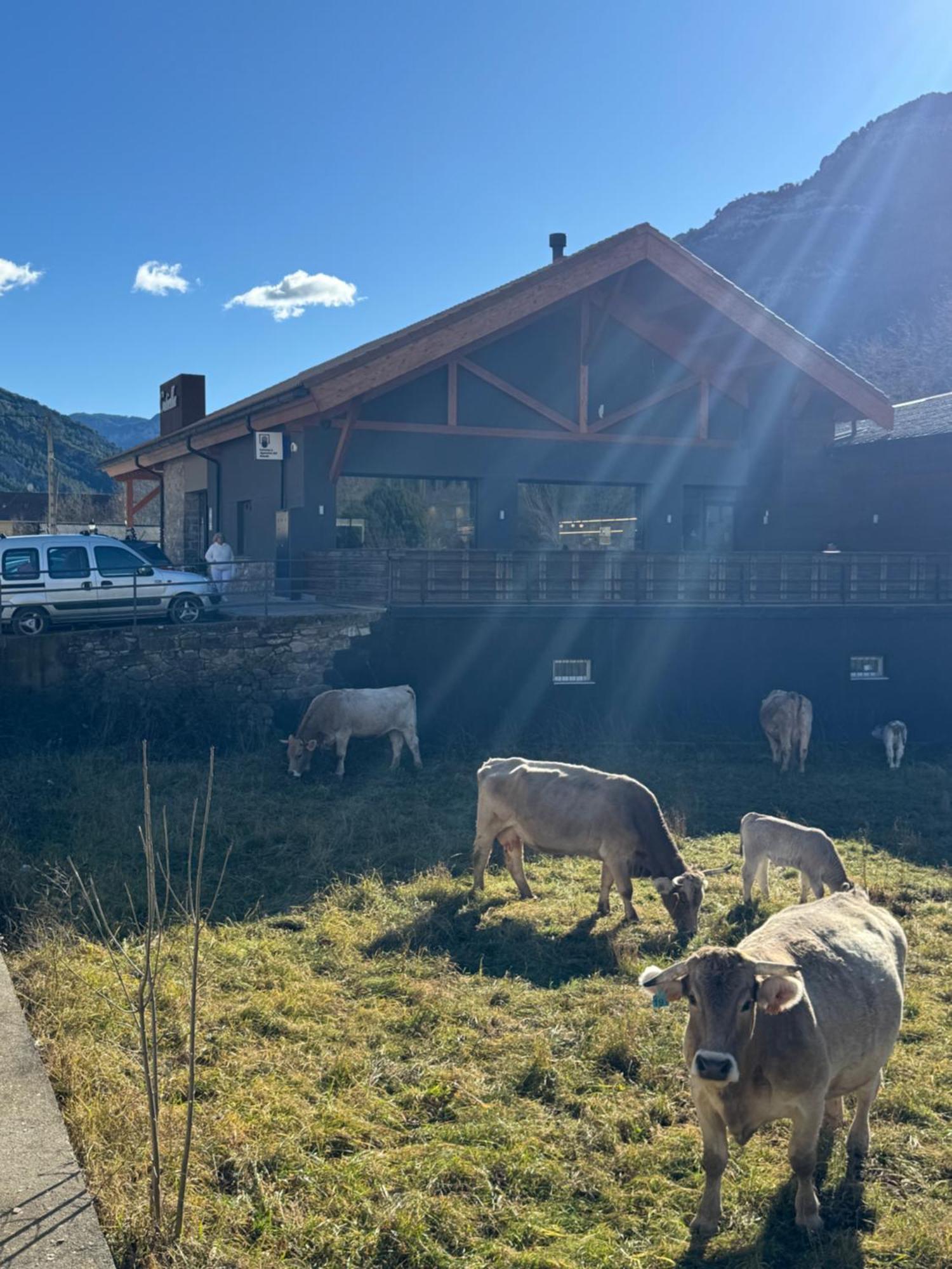 Hotel Cotiella Campo  Eksteriør billede