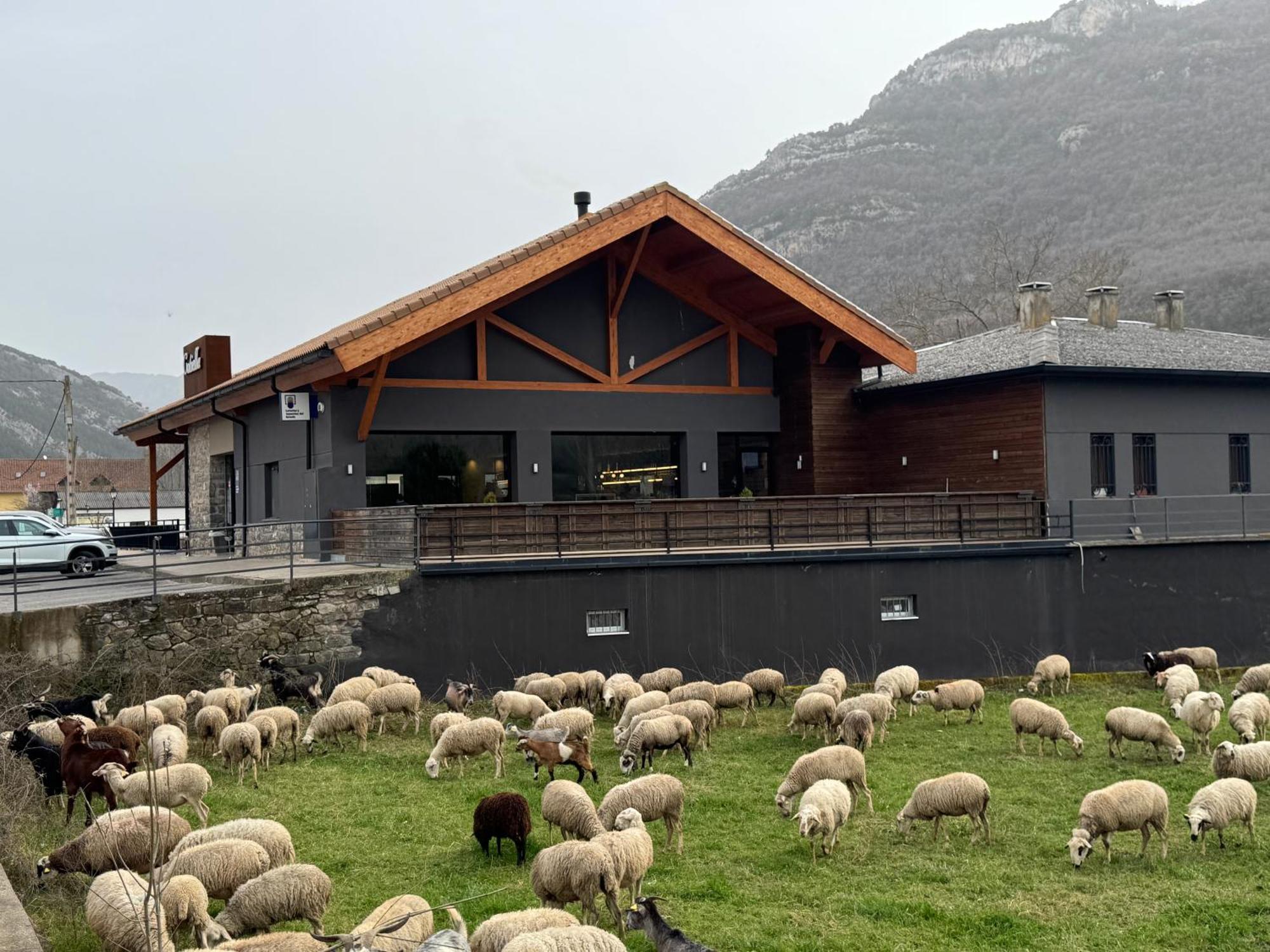 Hotel Cotiella Campo  Eksteriør billede